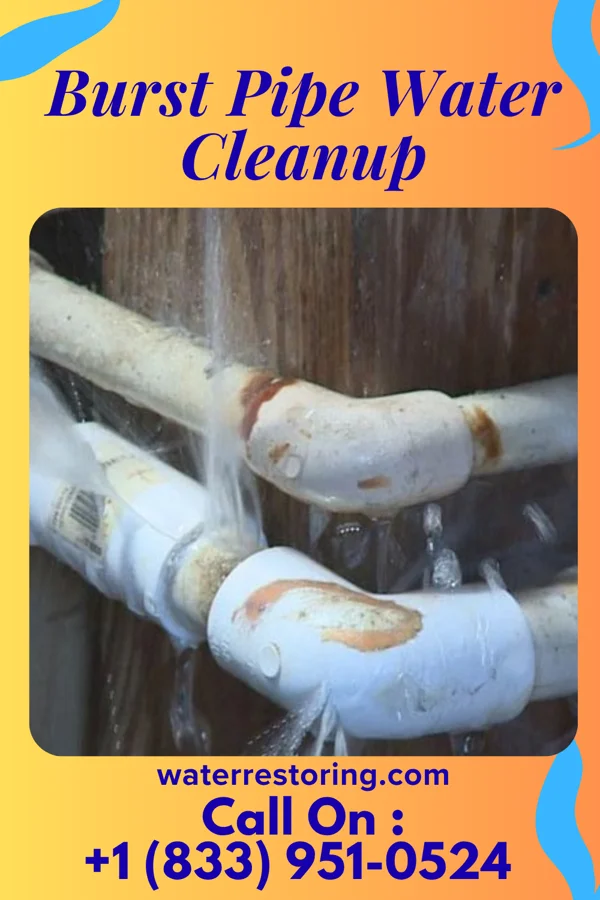 Burst Pipe Water Cleanup in Franklinville, NC