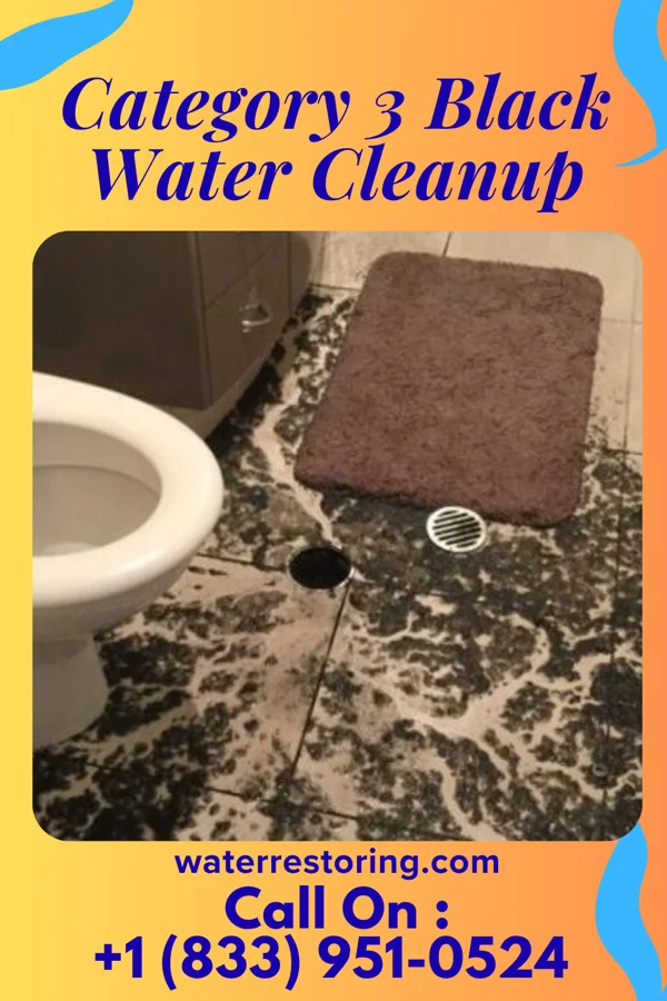 Category 3 Black Water Cleanup in Franklinville, NC