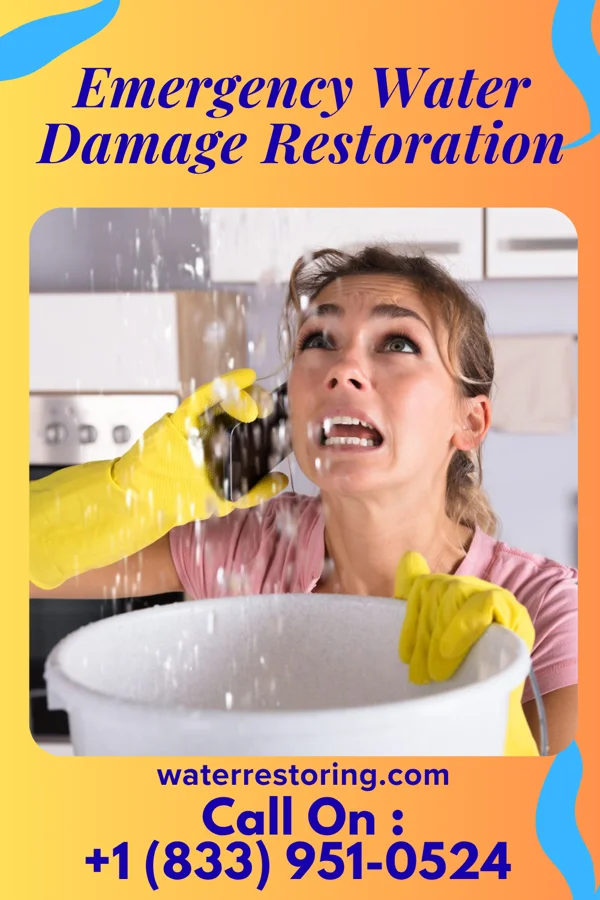 Emergency Water Damage Restoration in Franklinville, NC
