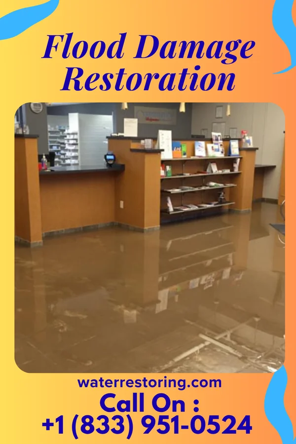 Flood Damage Restoration in Franklinville, NC