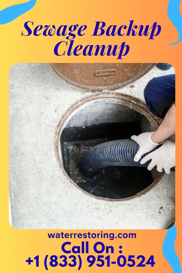 Sewage Backup Cleanup in Franklinville, NC