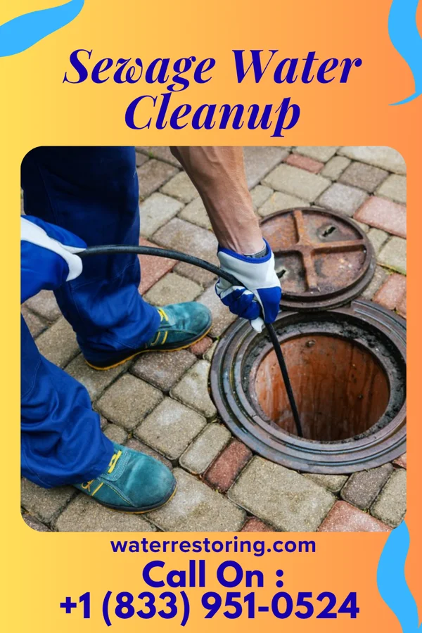 Sewage Water Cleanup in Franklinville, NC
