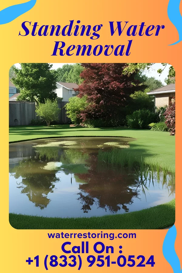 Standing Water Removal in Franklinville, NC